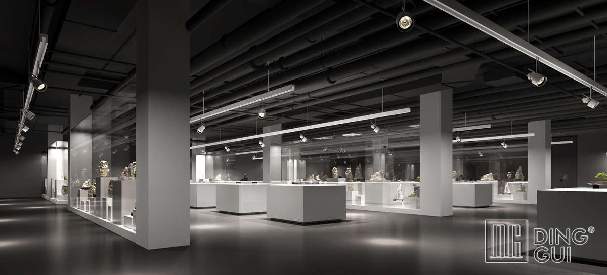 Large Museum Exhibit Showcase Design